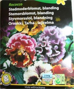 stedmoder